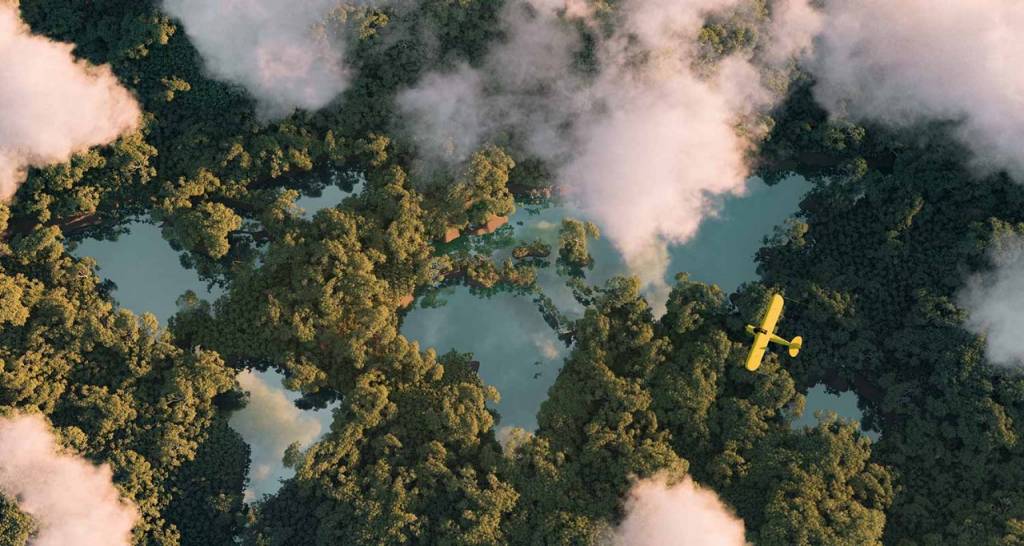 Bosque y nubes