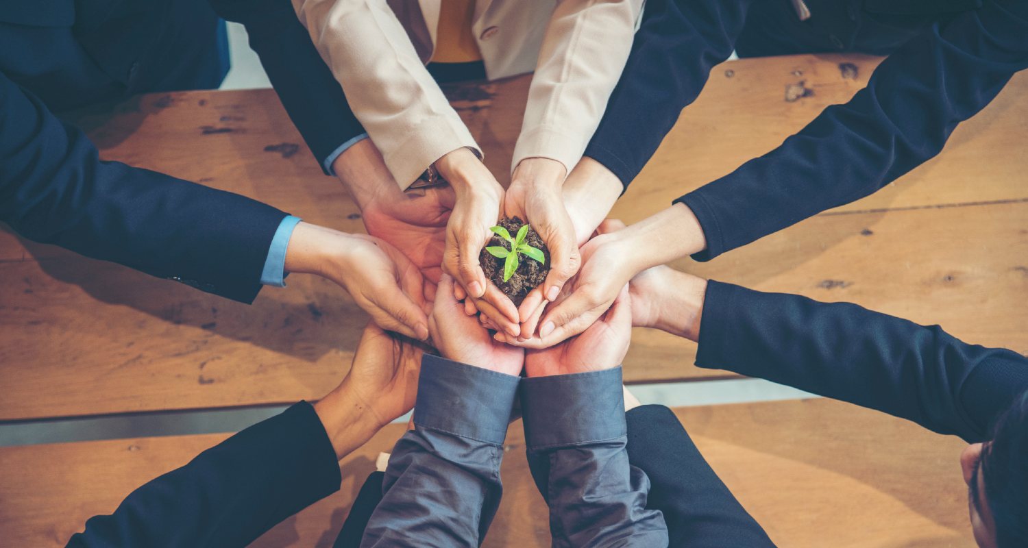 Manos unidas sosteniendo una planta